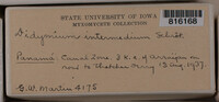 Image Associated With the Occurence